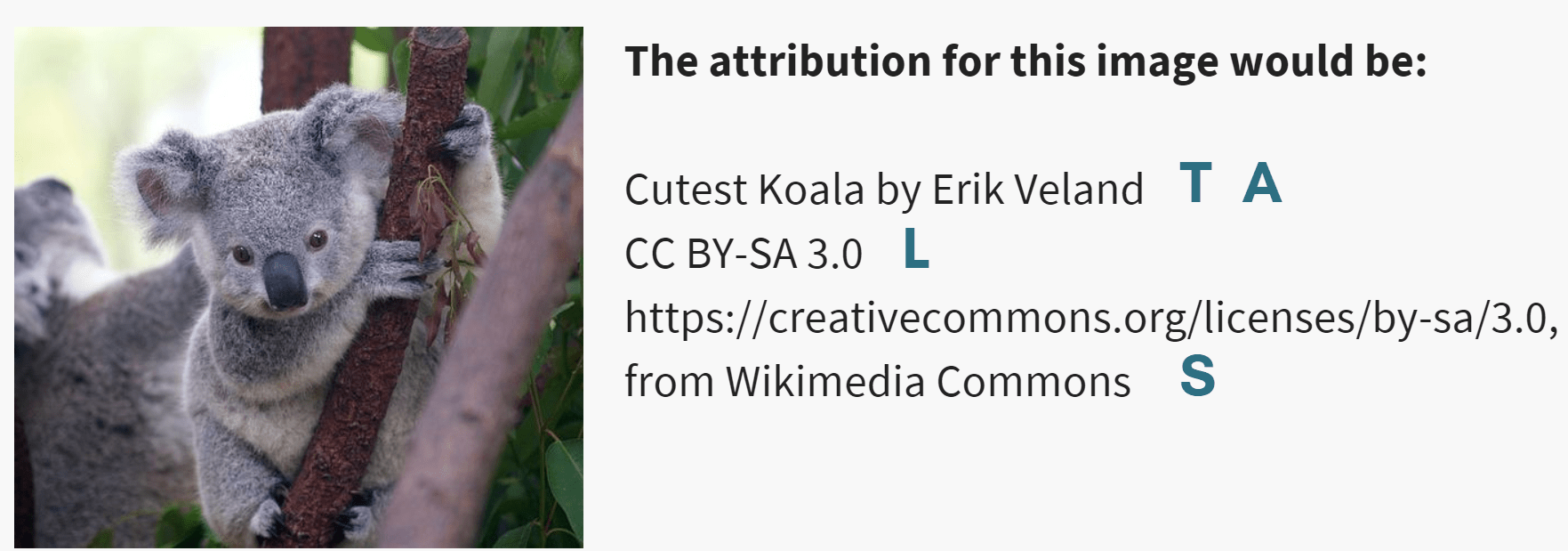 Example of how to attribute a Creative Commons image of a koala
